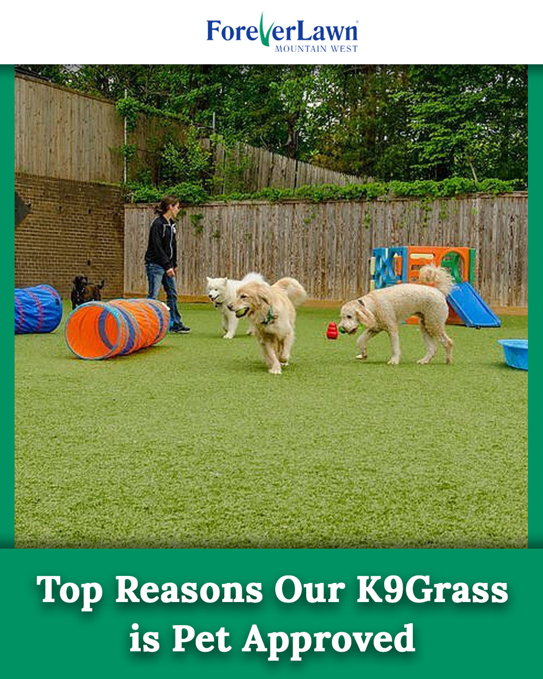 Top Reasons Our K9Grass is Pet Approved