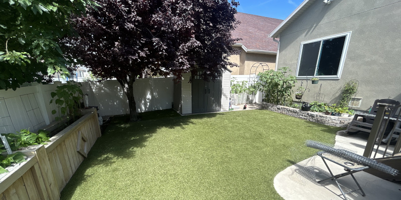 How Can Landscape Grass Transform Your Lawn